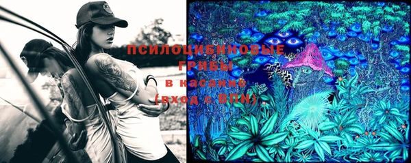 мескалин Пересвет
