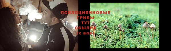 а пвп мука Пестово