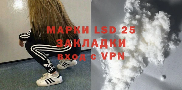 гашик Гатчина
