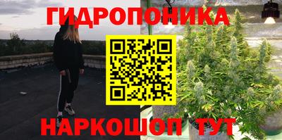 прущие грибы Абинск