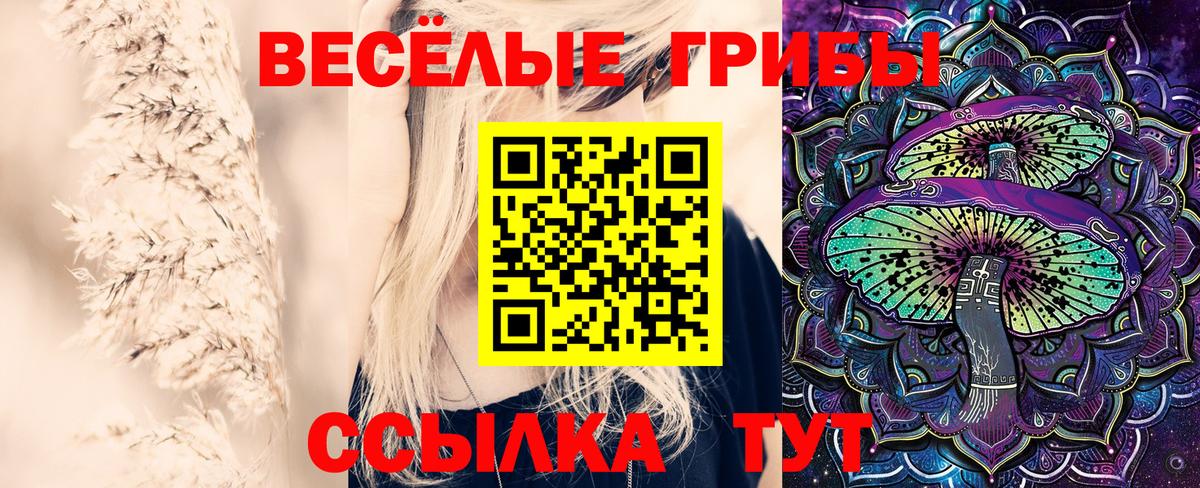 Петровск  Галлюциногенные грибы Cubensis  Псилоцибиновые грибы ЛСД  Вход с VPN 