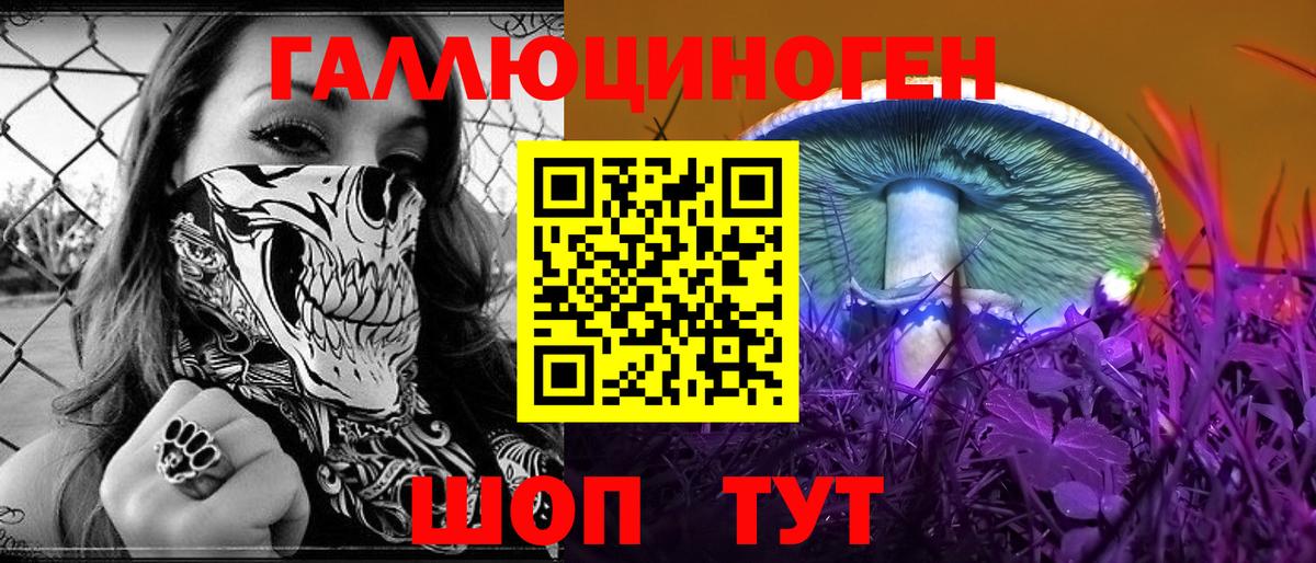 Галлюциногенные грибы ЛСД Петровск